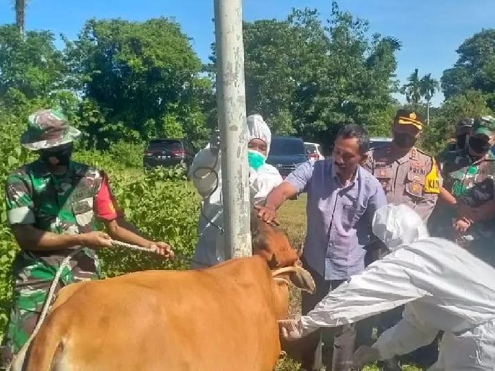 Kasus Aktif PMK di Provinsi Aceh Turun