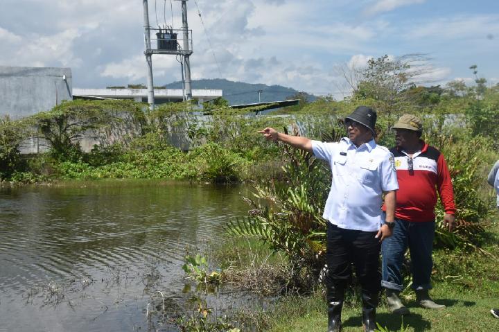 Buka Lahan Perkebunan, Langkah Pemprov Sulbar Menuju Kemandirian Pangan