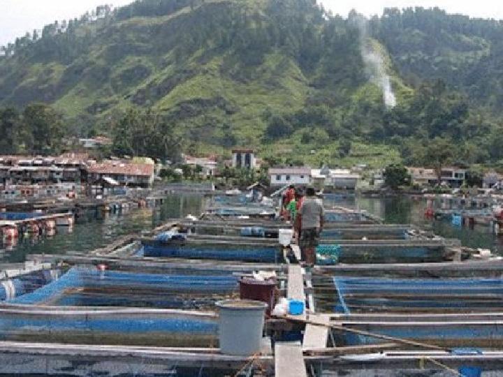 Semangat Menertibkan KJA Milik Warga Samosir di Perairan Danau Toba