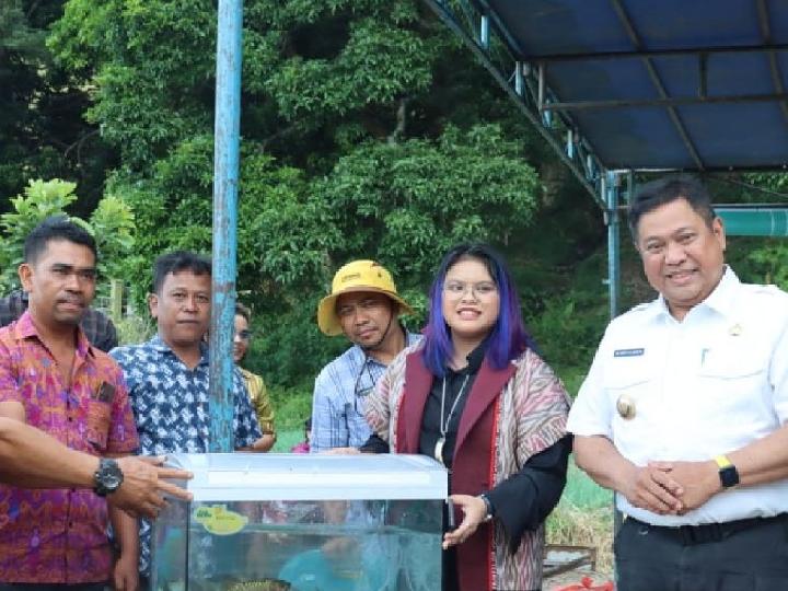 Ihan Batak Terancam Punah di Danau Toba, Pemkab Dairi Lakukan Konservasi