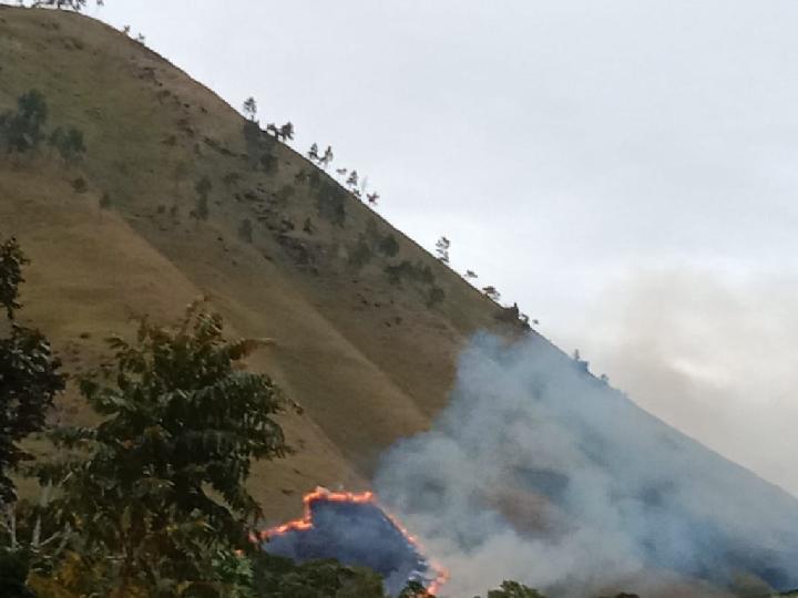 Hutan di Samosir Terus Terbakar, Perilaku Warga saat Mengolah Lahan Jadi Sorotan
