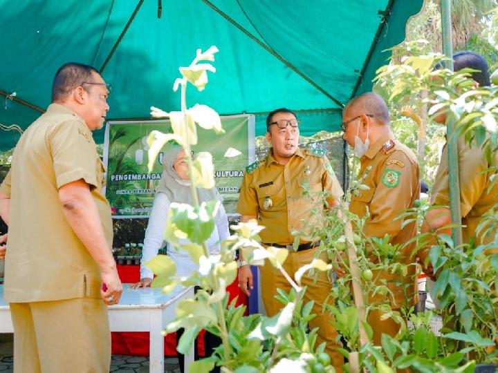 Buka Pekan Bursa Tanaman Hias, Aulia Rachman Ajak Berinovasi dan Kolaborasi