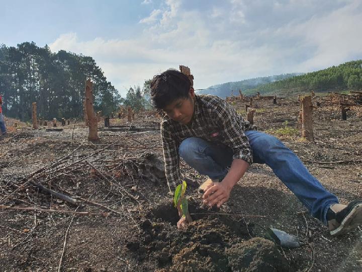 Masyarakat Adat di Tano Batak Akan Terus Berjuang Hingga PT TPL Tutup