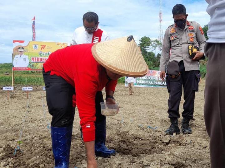 Tanam Jagung dan Kedelai, Pemprov Sulbar Hadapi Krisis Pangan Indonesia