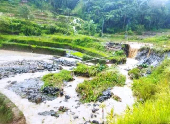 Anak Sungai di Aralle Mamasa Meluap, Sawah Warga Rusak Parah