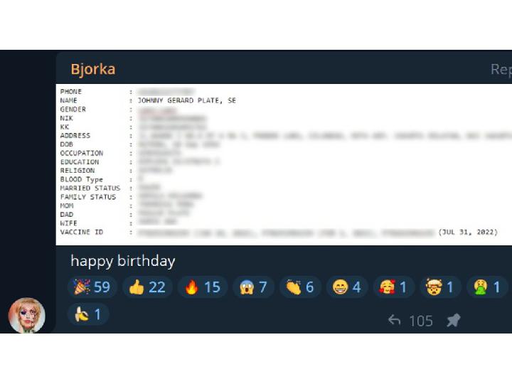 Hacker Bjorka Ucapkan Selamat Ulang Tahun ke Johnny G. Plate