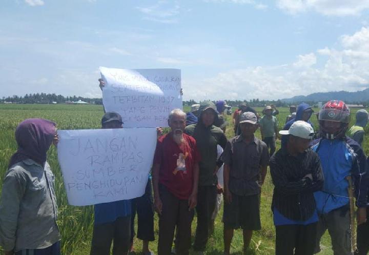 Terancam Kehilangan Sawah, Sejumlah Petani di Mamuju Tolak Sidang Lapangan