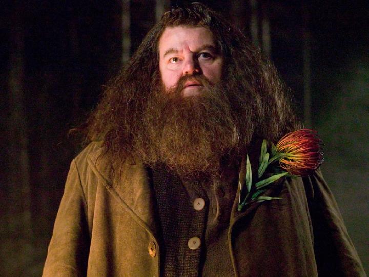 Aktor Pemeran Hagrid Di Film Harry Potter Robbie Coltrane Meninggal ...