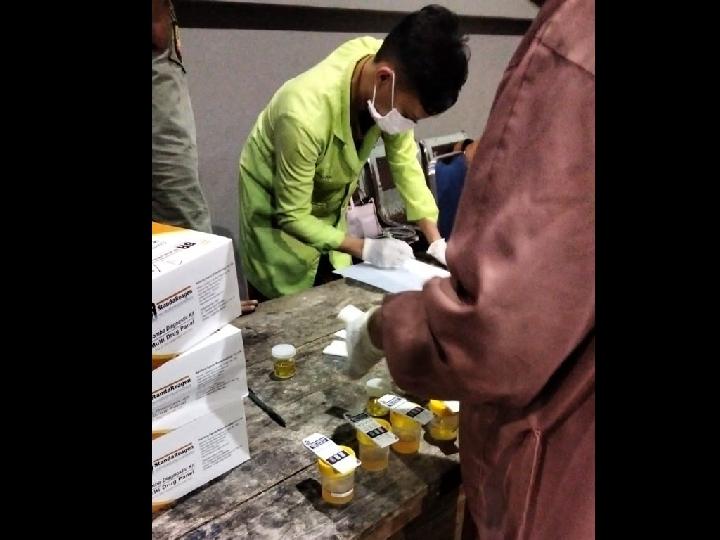 Seluruh Satpol PP yang Bertugas di Kantor Gubernur Sulsel Tes Urine