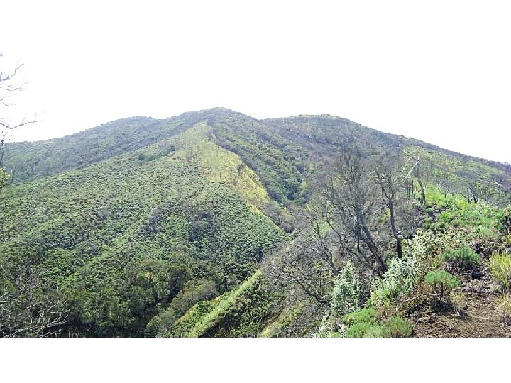 Panorama Cantik Gunung Ciremai via Sadarehe, Primadona Angkuh di Pulau Jawa