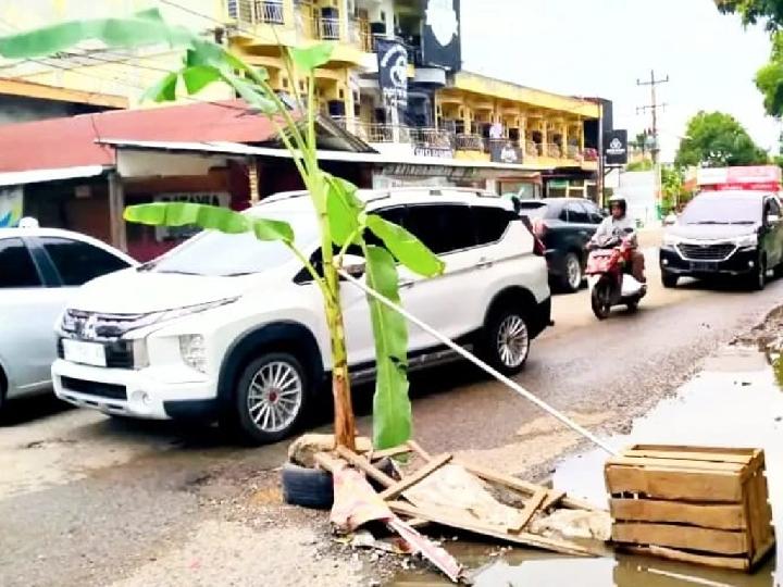 Pemerintah Abai, Warga Aceh Tanam Pohon Pisang di Lubang Badan Jalan