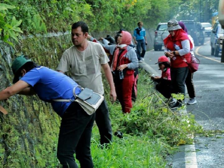 Membersihkan Kota Parapat Danau Toba dengan Cara Marharoan Bolon