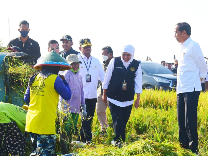 Distribusi Pupuk Gak Beres, Jokowi Tanyai Menterinya Satu Per Satu