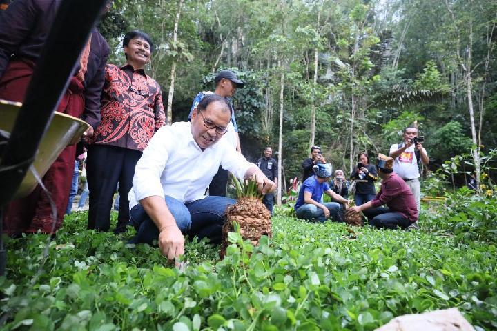 Danny Pomanto dan Tokoh Masyarakat Toraja Tanam Pohon di Wisata Sa'pak Bayo-bayo Sangalla