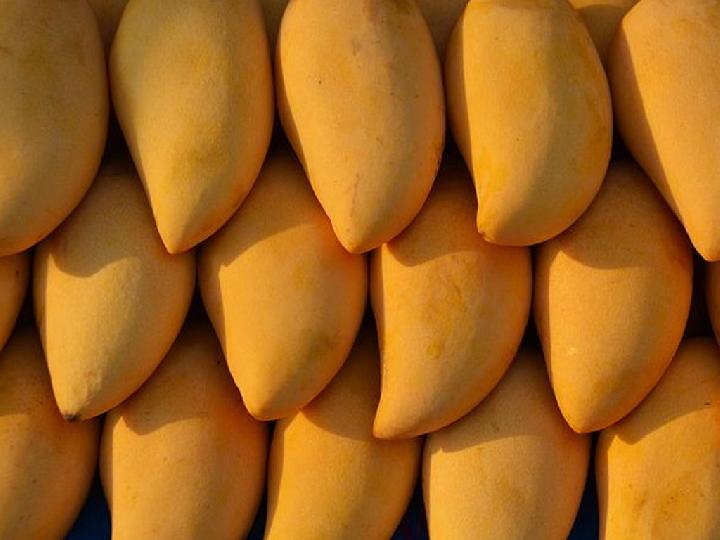 Lima Manfaat Buah Mangga Bagi Kesehatan Tubuh