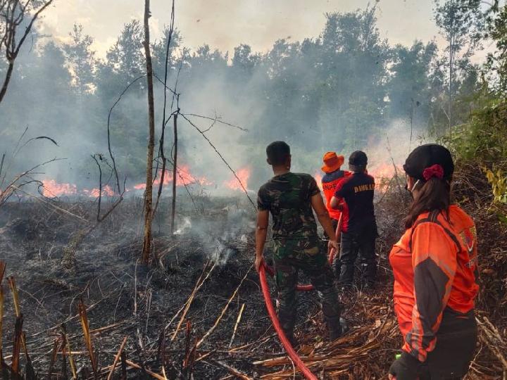 Kebakaran Lahan Seluas 26 Hektare di Kabupaten Barito Selatan