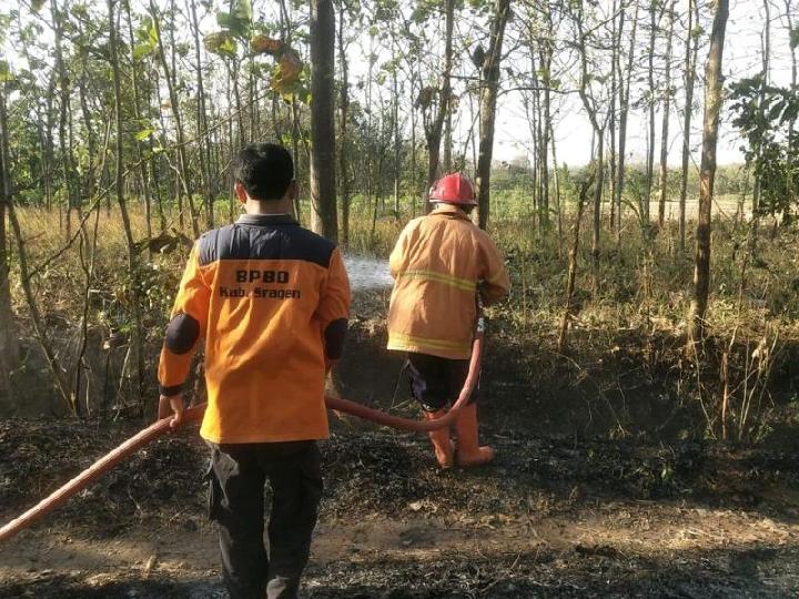 Karhutla di Dua Wilayah Jawa Tengah, Lima Hektare Lahan Terbakar