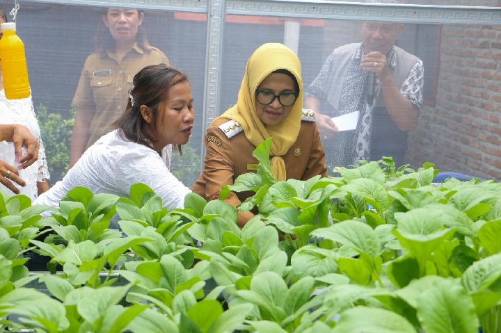 Panen Perdana Budidaya Hidroponik, Wali Kota: Bersama Membangun Kota Siantar