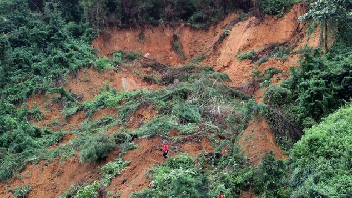 Bencana Alam Menghantam Tambang Emas Ilegal: 15 Penambang Tewas, 25 Tertimbun