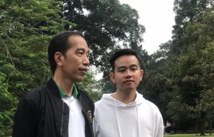 Jokowi - Gibran Merapat ke Golkar? Ini Kata Projo dan MKGR