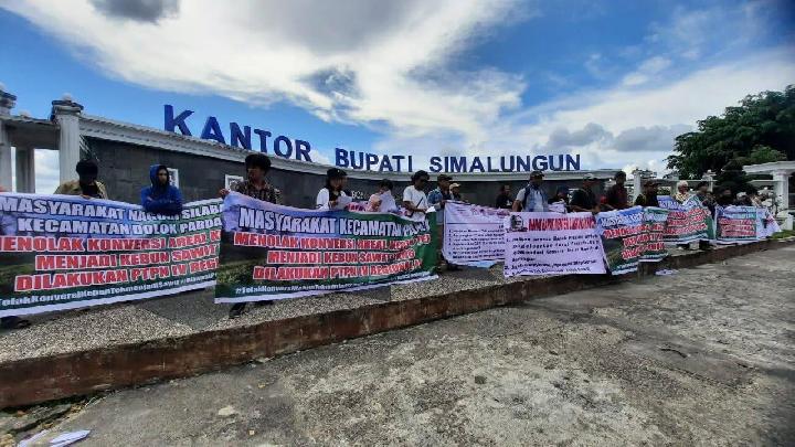 Bupati Simalungun Tolak Kebun Teh Jadi Sawit oleh PTPN IV Sidamanik