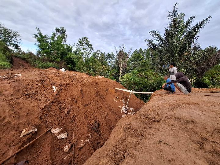 Lubang Bikinan TPL di Sihaporas Ditutupi Warga Secara Gotong Royong, Eh Dilubangi TPL Lagi