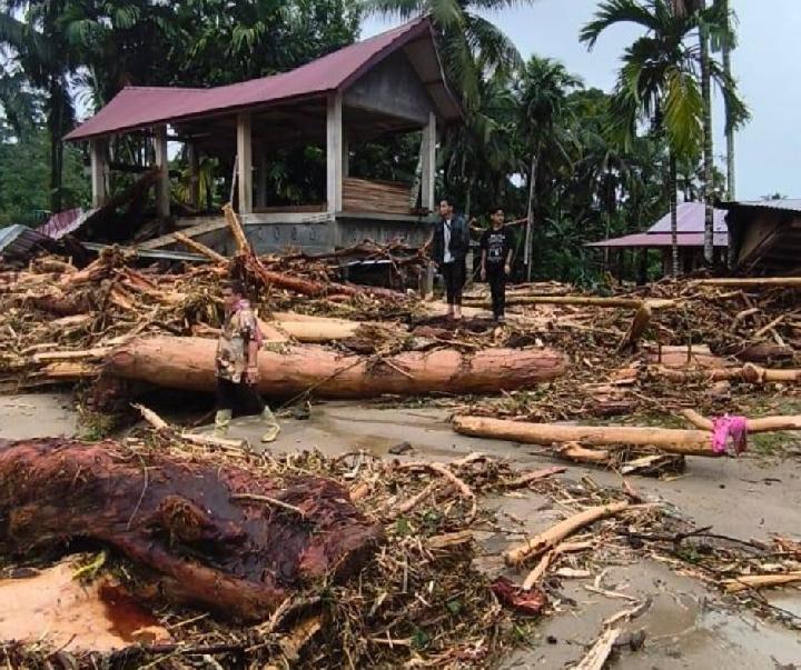 Hutan Habis, Bencana Datang, KSPPM: Tragedi Ekologis Terburuk dalam 35 Tahun Terakhir