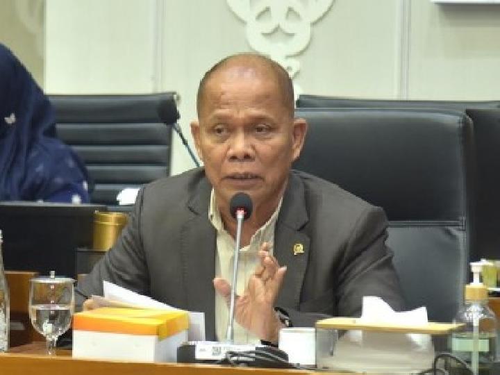 Hutan Adat Ditetapkan Kepala Daerah? Anggota DPR RI Sturman Panjaitan: Ini Sangat Berbahaya