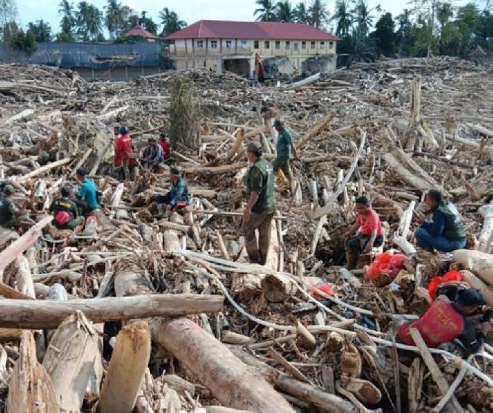 Kayu Bawaan Banjir Sumatra Bisa Digunakan Warga untuk Bangun Rumah