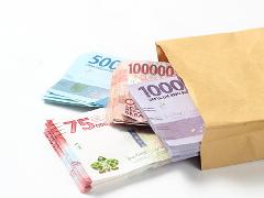 Hingga Oktober 2025, Pemerintah Tarik Utang Baru Rp 570,1 Triliun