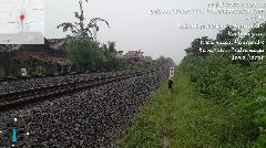 Pohon Tumbang Menghalangi Jalur KA di Petak Jalan Cipunegara-Haurgeulis, Perjalanan KA Kembali Normal