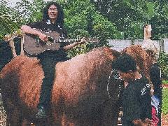 Selipkan Momen Idul Qurban, AMIS Lepas Video Klip Single Local Wisdumb