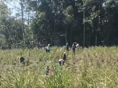 PT TPL Membangkang dari Visi Ketahanan Pangan Presiden Prabowo