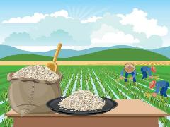 Zulhas-AHY-Nusron Pimpin Tim Khusus Jaga Lahan Pertanian dari Alih Fungsi