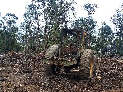 Melawan PT Gruti Karena Menghabisi Hutan di Dairi, 34 Warga Ditangkap Polisi
