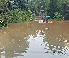 Sumut dan Tapanuli Raya Dikepung Bencana, Hei Jangan Kau Bilang Karena Alam atau Hujan Ekstrem