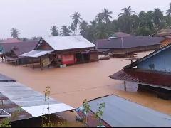 Banjir Bandang Sumut: Anggota DPD Penrad Siagian Minta TPL Masuk Daftar Perusahaan yang Harus Diaudit Total