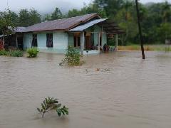 BNPB: 55 Jiwa Meninggal Korban Banjir dan Tanah Longsor di Tapanuli Raya