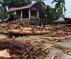Hutan Habis, Bencana Datang, KSPPM: Tragedi Ekologis Terburuk dalam 35 Tahun Terakhir