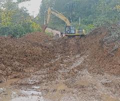 Kinerja Kemenhut Lemah, Prabowo Diminta Tegas Memberantas Penebangan dan Pembalakan Hutan