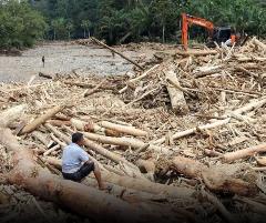 Lautan Kayu Gelondongan dalam Banjir Pulau Sumatra, Bareskrim Tengah Melakukan Penyelidikan