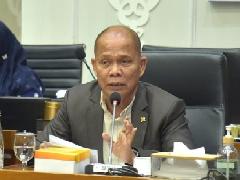 Hutan Adat Ditetapkan Kepala Daerah? Anggota DPR RI Sturman Panjaitan: Ini Sangat Berbahaya