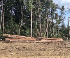 KSPPM: TPL Berkontribusi dalam Bencana Ekologis di Tapanuli Raya