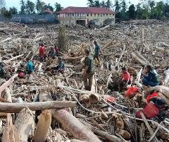 Kayu Bawaan Banjir Sumatra Bisa Digunakan Warga untuk Bangun Rumah