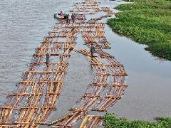 Ratusan Kayu Bulat Ilegal di Perairan Sungai Pawan Ketapang Diamankan Petugas Gakkum Kehutanan&nbsp;