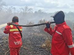 Sumatera Memanas, Kemenhut Kerahkan Tim Pemadaman Karhutla