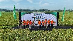 Rano Karno Panen Beras Cianjur, B2B Antara Food Station Tjipinang Jaya dengan Tunas Bumi Emas Lestari