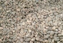 Sumut Ekspor 10 Komoditas Pertanian ke Mancanegara