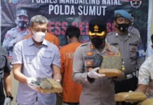 Terbongkar, 14 Bal Ganja Asal Madina Gagal Dikirim ke Jabar Melalui Jasa Pengiriman Barang