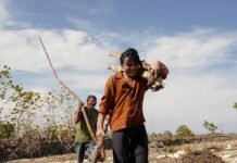 Detik-detik Maling Bobol Tiga Kotak Amal Bernilai Uang Rp 10 juta | Opsi.id